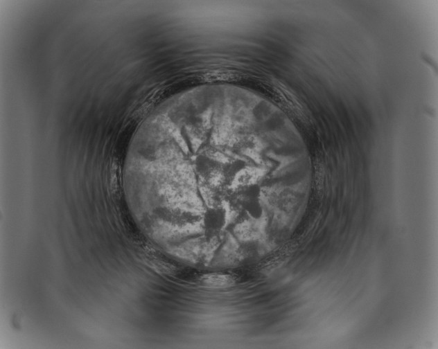 X0000097750169200804041111