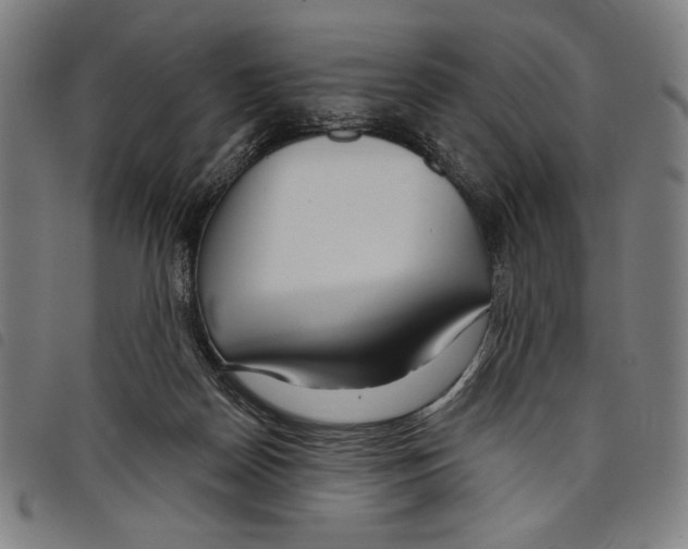 X0000097750170200804041111