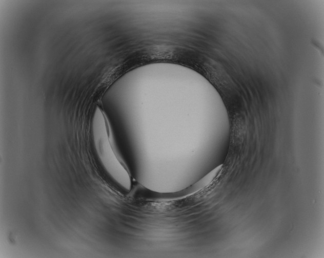 X0000097750172200804041111