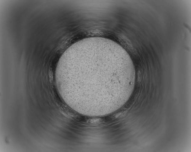 X0000097750173200804041111