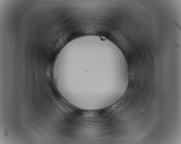 X0000097750175200804041111