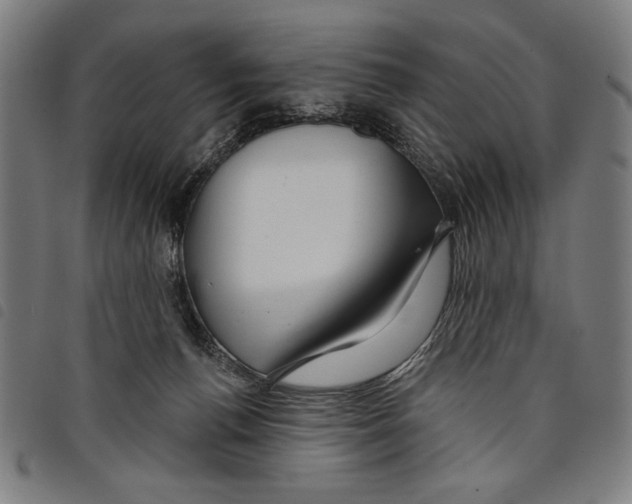 X0000097750176200804041111