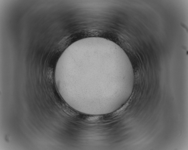 X0000097750178200804041111