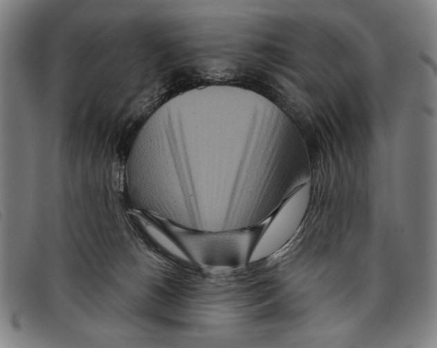 X0000097750180200804041111