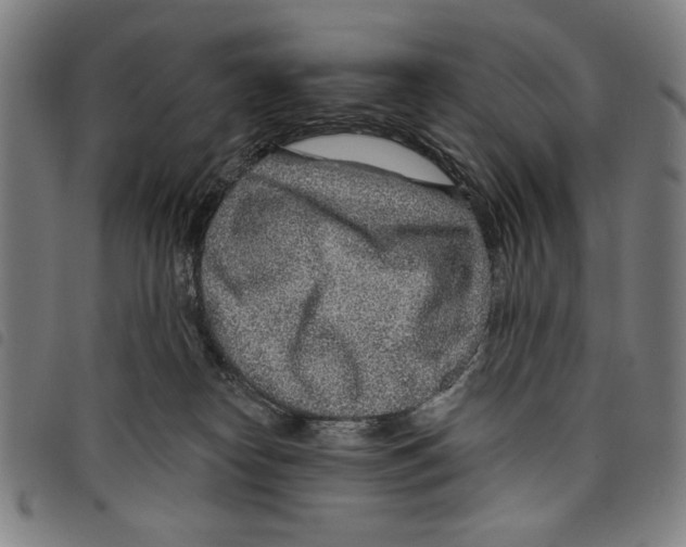 X0000097750182200804041111