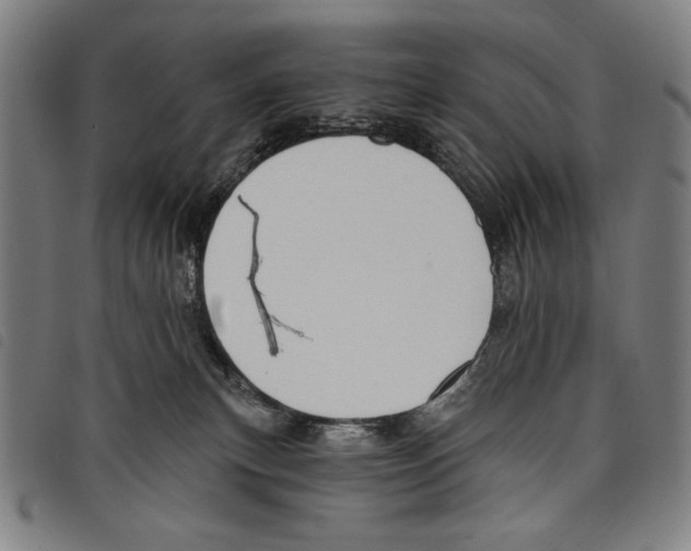 X0000097750183200804041111