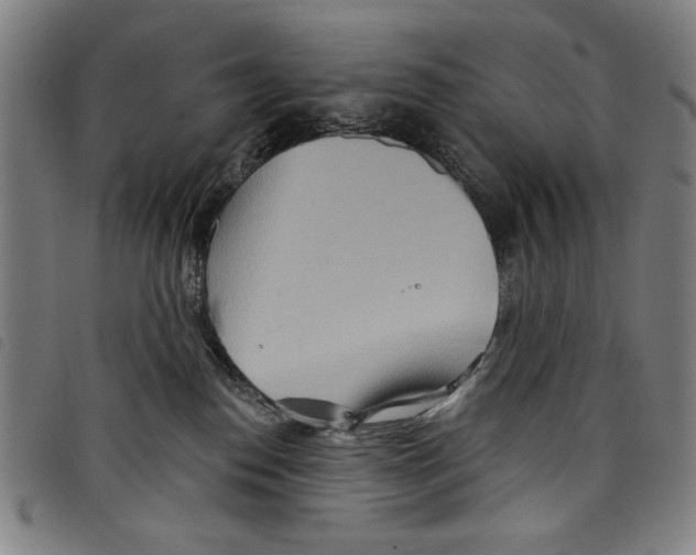 X0000097750186200804041111