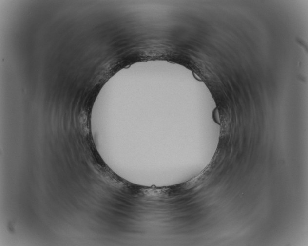 X0000097750187200804041111