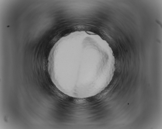 X0000097750189200804041111