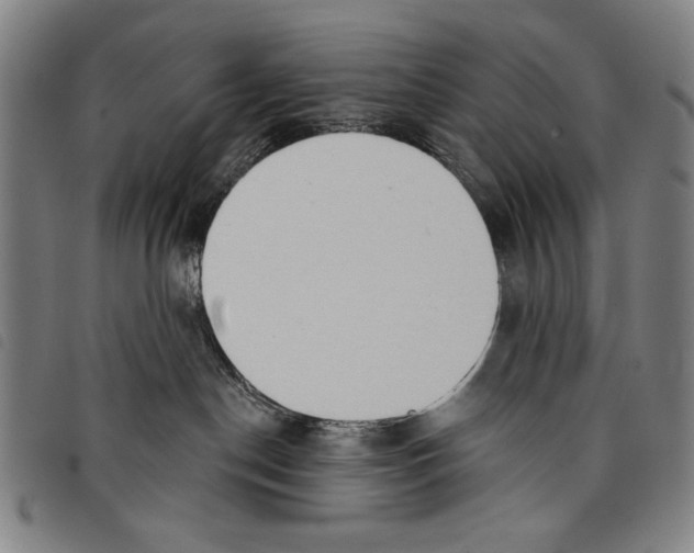 X0000097750190200804041111