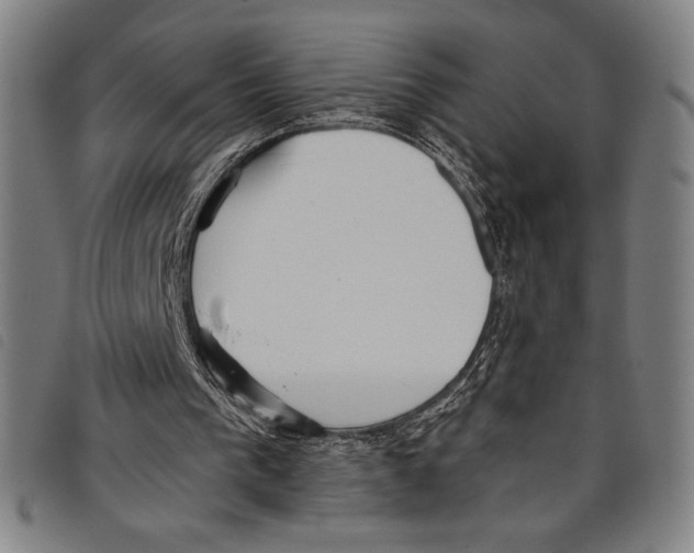 X0000097750193200804041111