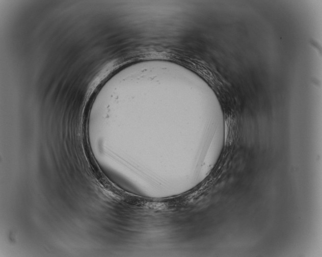 X0000097750195200804041111