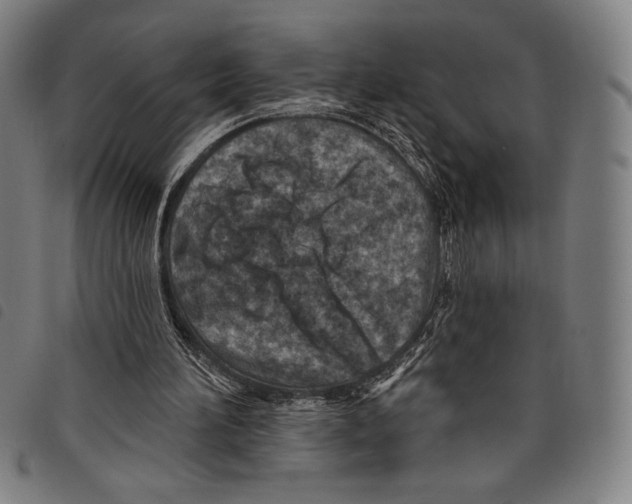 X0000097750196200804041111