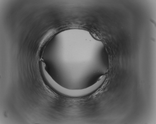 X0000097750197200804041111