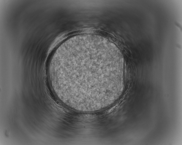 X0000097750198200804041111