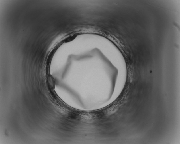 X0000097750199200804041111