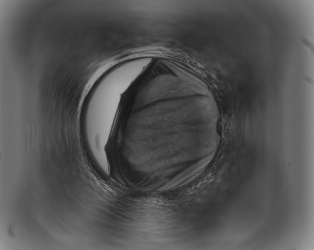 X0000097750200200804041111