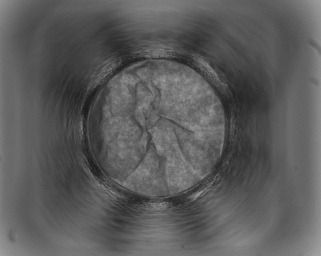 X0000097750202200804041110