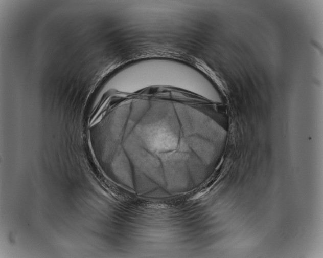 X0000097750203200804041110