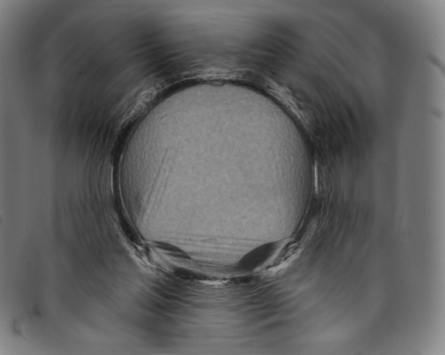 X0000097750205200804041110