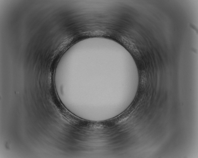 X0000097750206200804041110