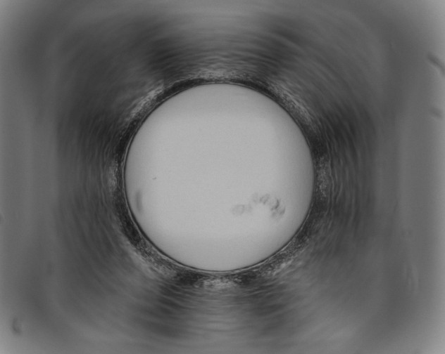 X0000097750208200804041110