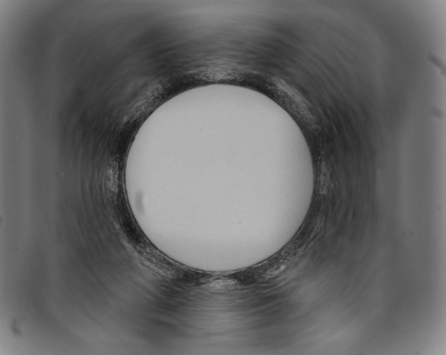 X0000097750210200804041110