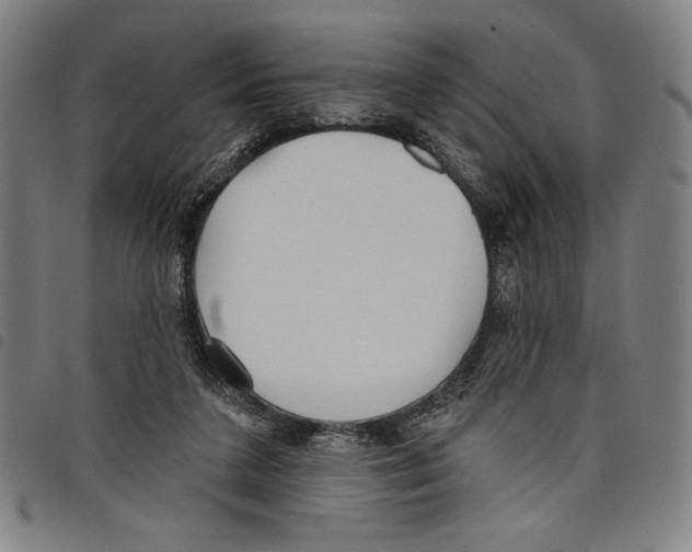 X0000097750211200804041110