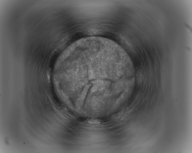 X0000097750214200804041110