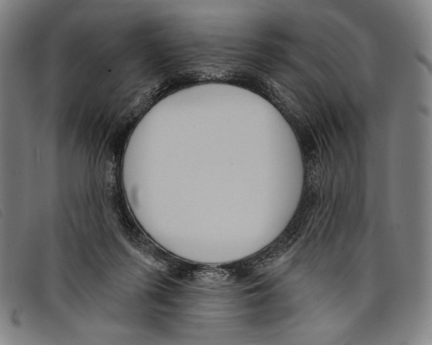 X0000097750215200804041110