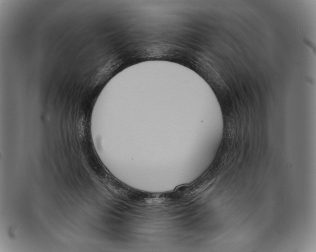 X0000097750216200804041110