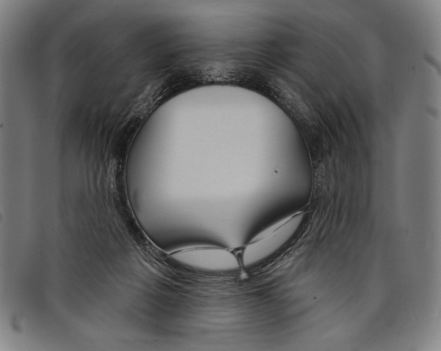 X0000097750217200804041110