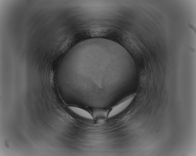 X0000097750219200804041110