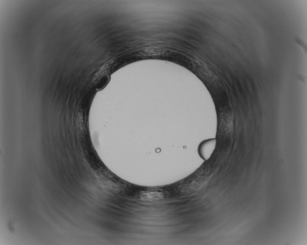 X0000097750220200804041110