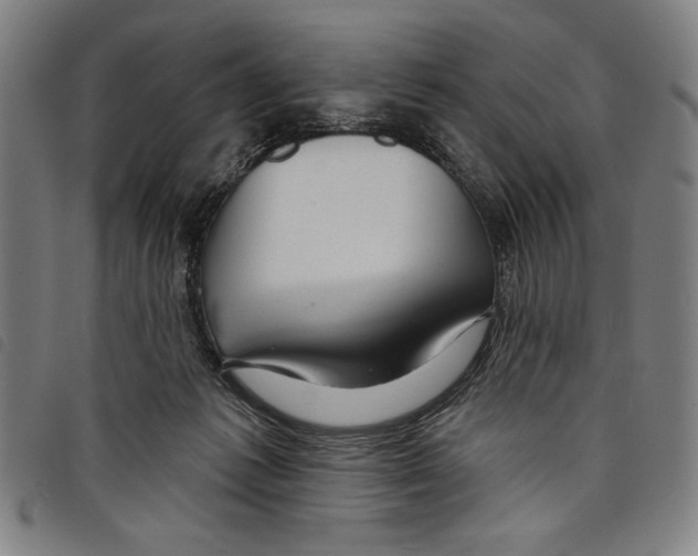 X0000097750221200804041110