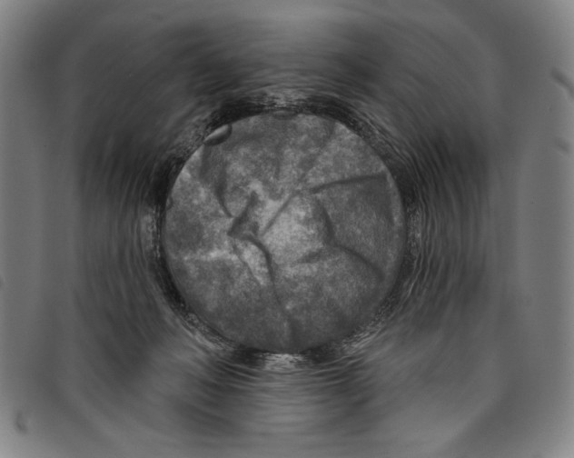 X0000097750222200804041110