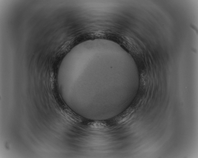 X0000097750223200804041110