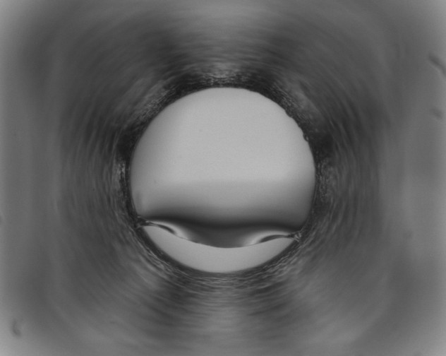 X0000097750225200804041110