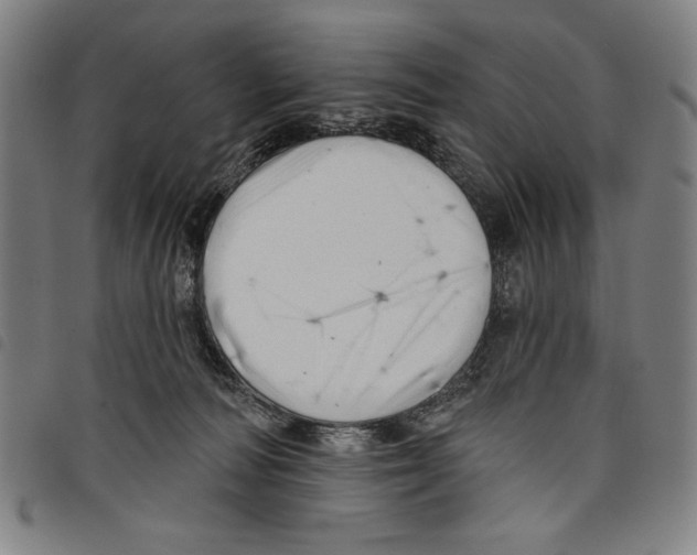 X0000097750226200804041110