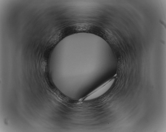 X0000097750227200804041110