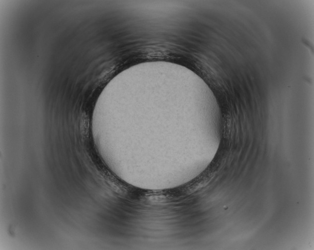 X0000097750228200804041110