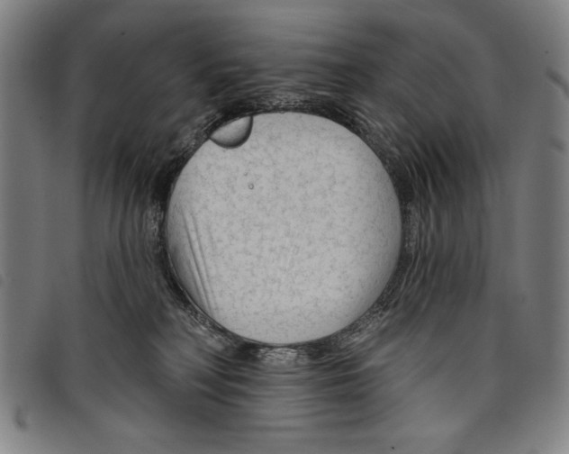 X0000097750230200804041110