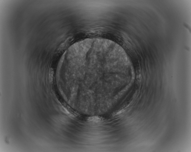 X0000097750231200804041110