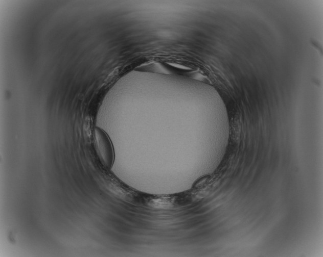 X0000097750232200804041110