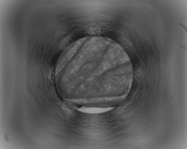 X0000097750233200804041110