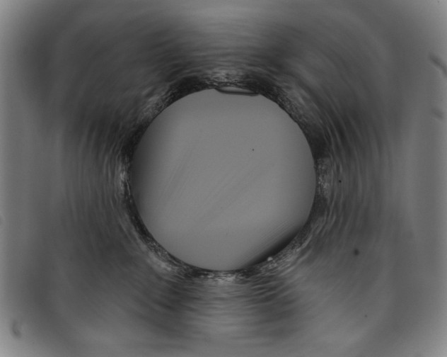 X0000097750235200804041110