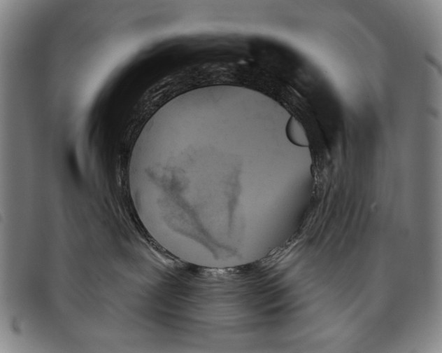 X0000097750239200804041110