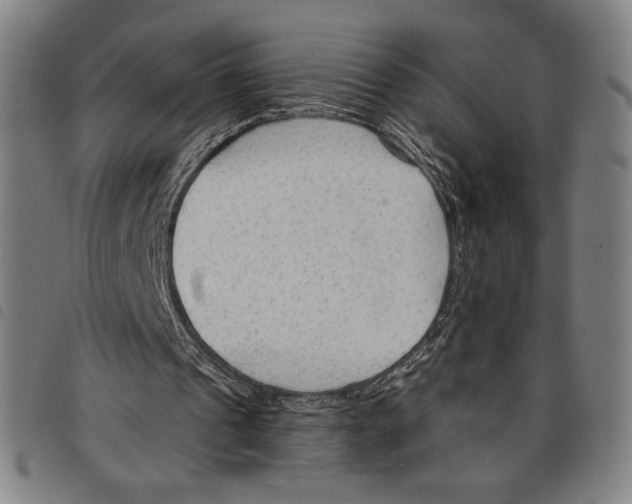 X0000097750241200804041109