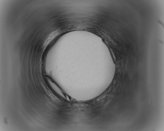 X0000097750242200804041109