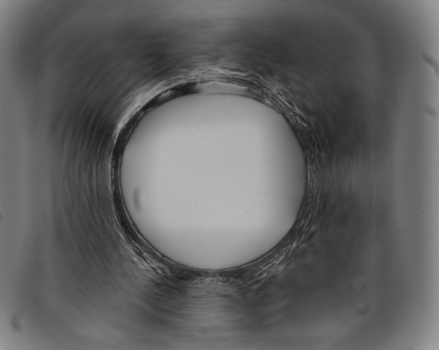 X0000097750244200804041109